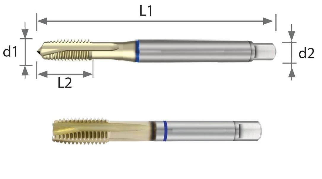 alicon1-2919584