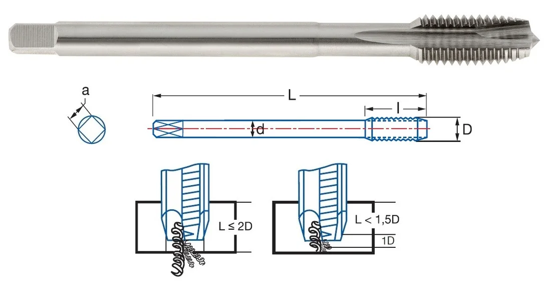 alicon1-2923153