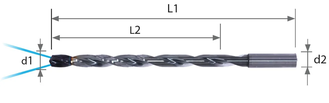 alicon1-2974741