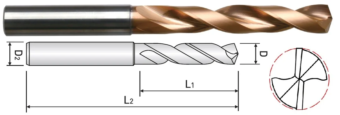 alicon1-3035294