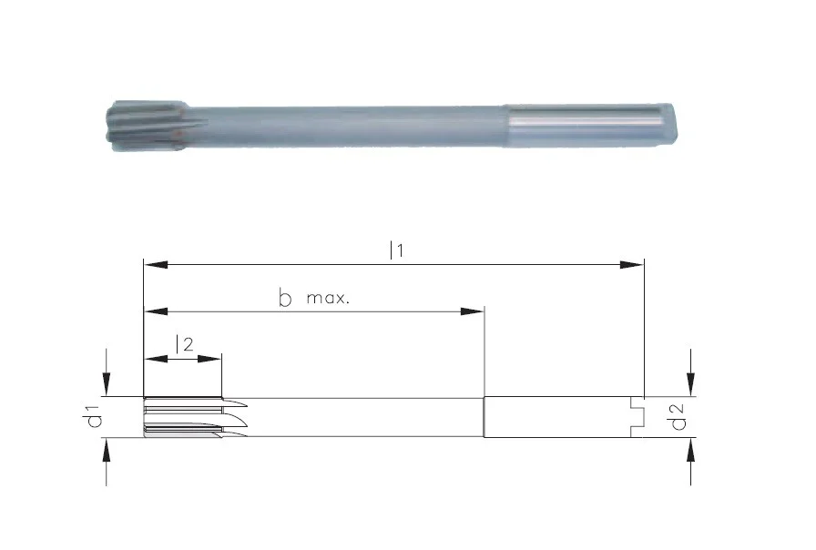 alicon1-3154866