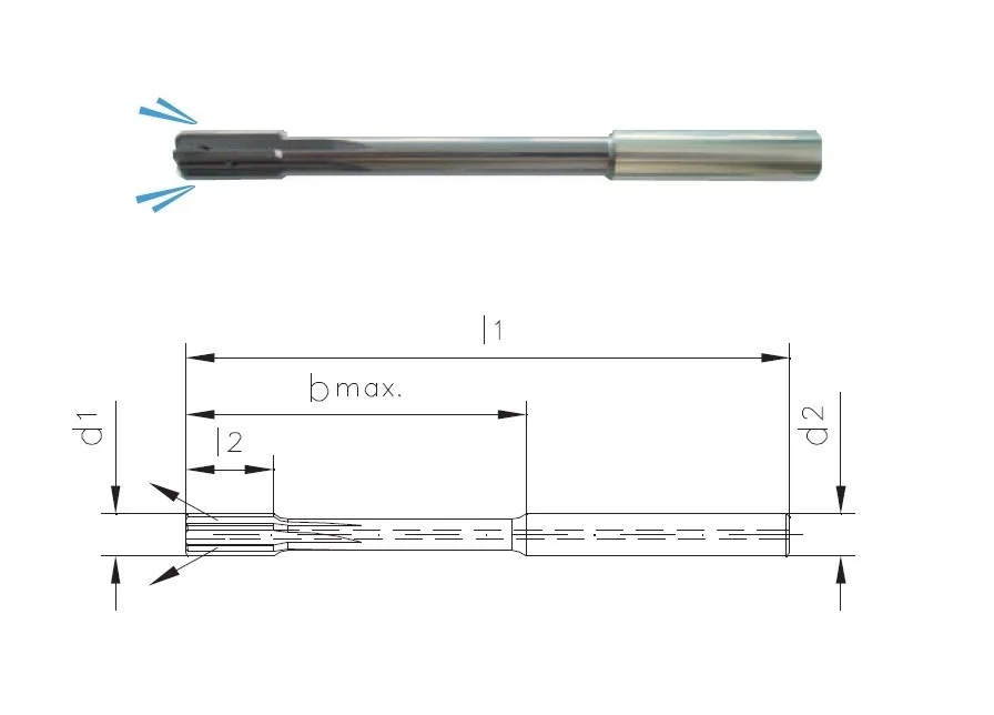 alicon1-3178160