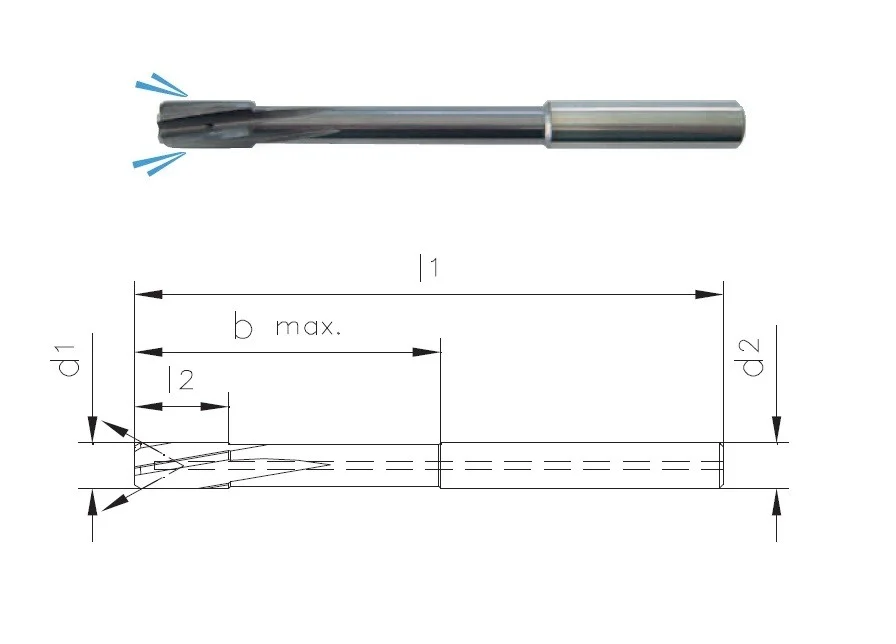 alicon1-3179941