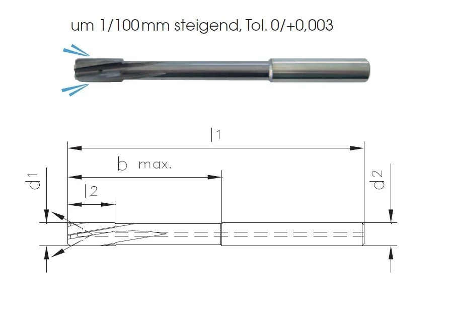 alicon1-3180219