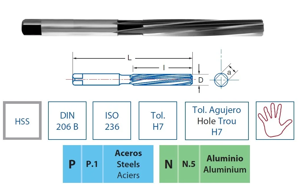 alicon1-3183387