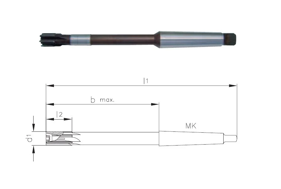 alicon1-3224395