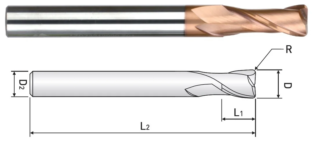alicon1-3245566