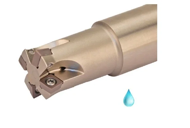 alicon2-2926866