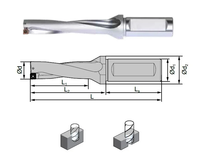 alicon2-3016365