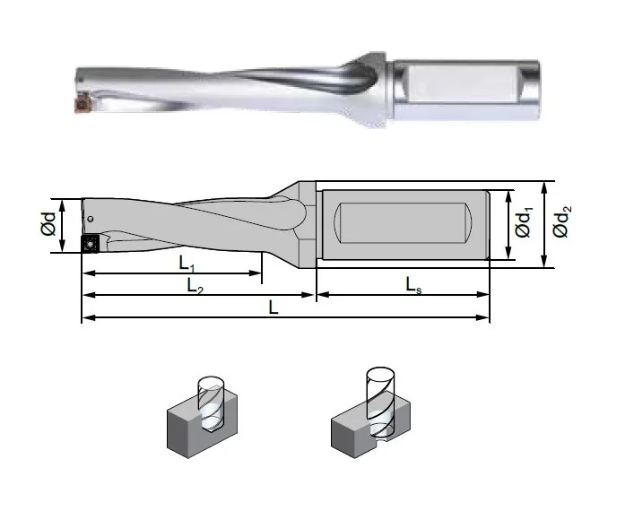 alicon2-3017562