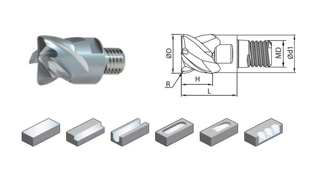 alicon3-2892416