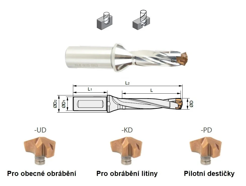 alicon5-3021276