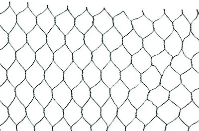boukal1-3279905