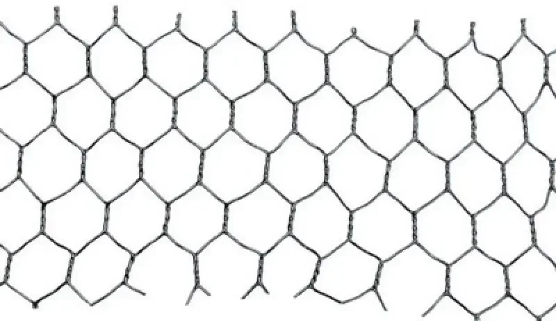 boukal1-3280030