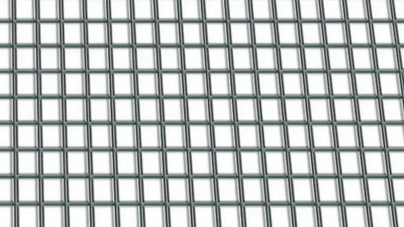 boukal1-3280969