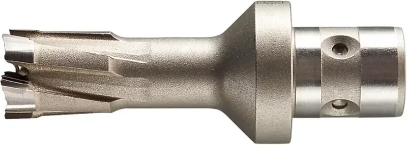 boukal1-3339038