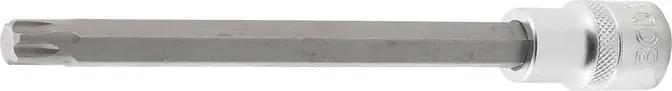 boukal1-3348282