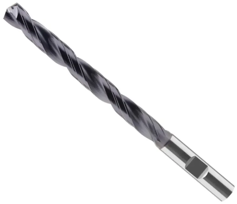 boukal1-3351758
