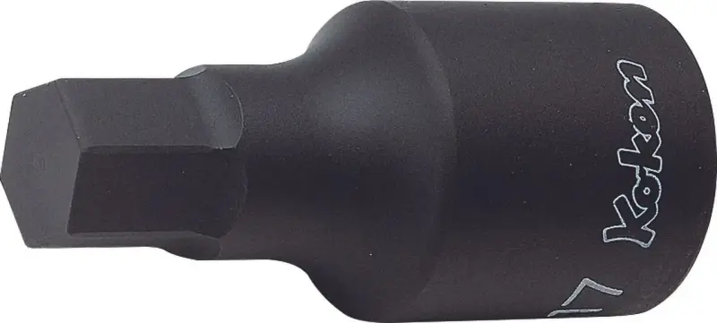 boukal2-3330764
