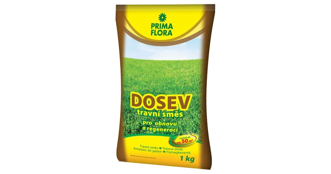 doktorkladivo-2985489