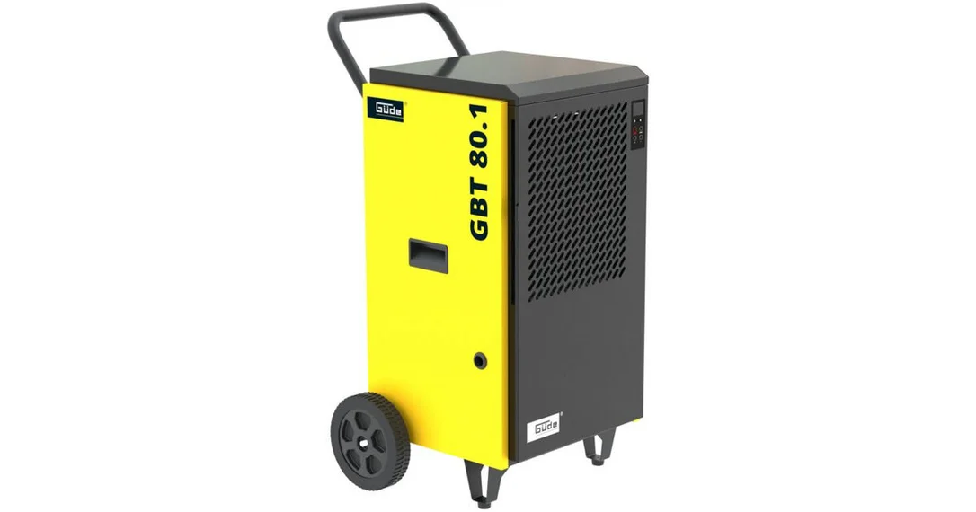 guru-naradi-3165187