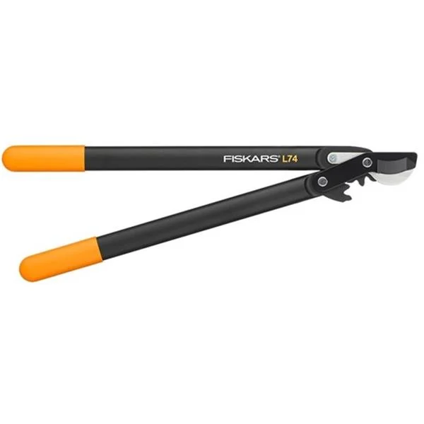 landsmann1-3314780