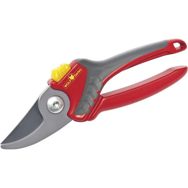 landsmann1-3332778