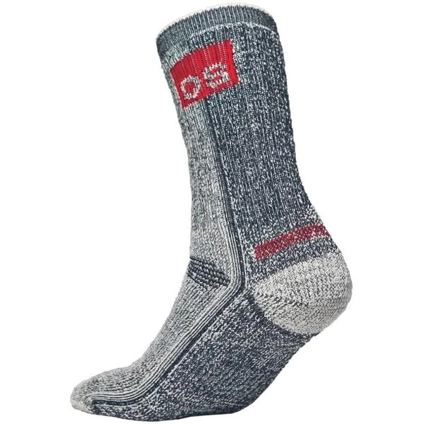 landsmann1-3336872