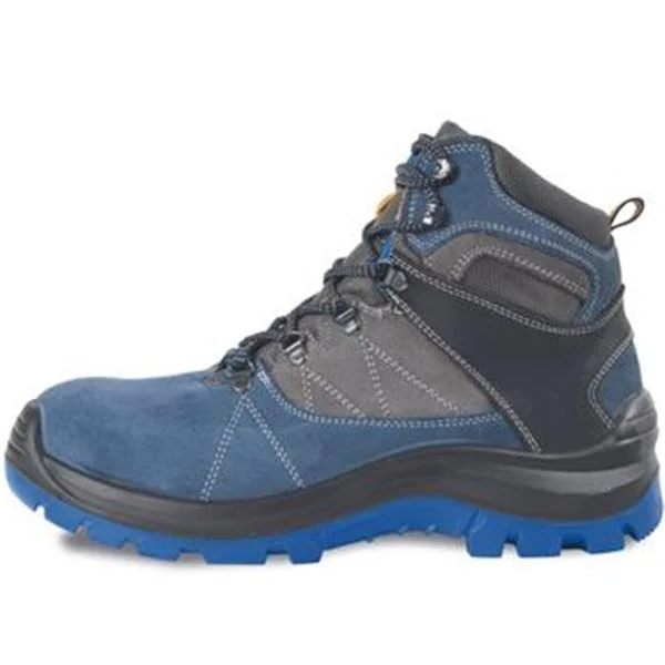 landsmann2-3079350