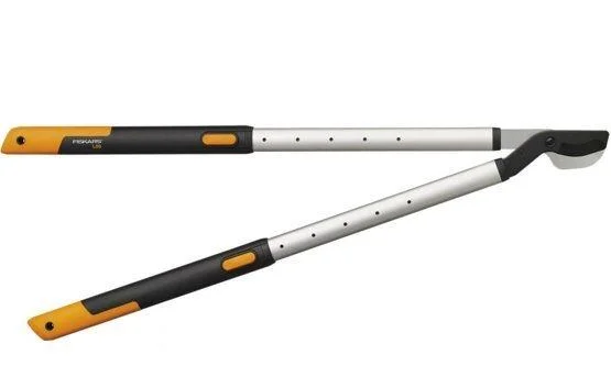 naradihornig-3159413