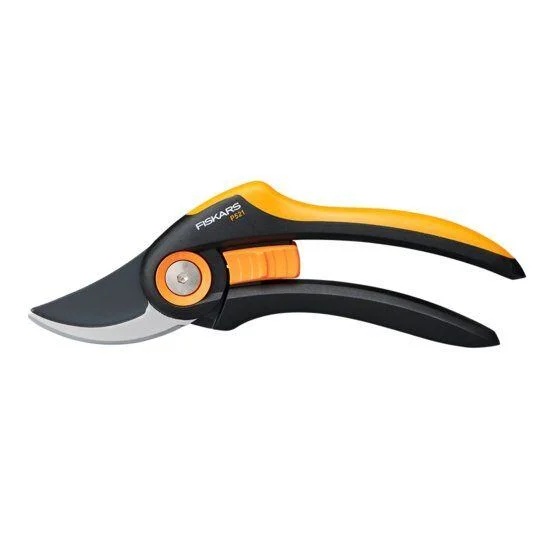 naradihornig-3164795