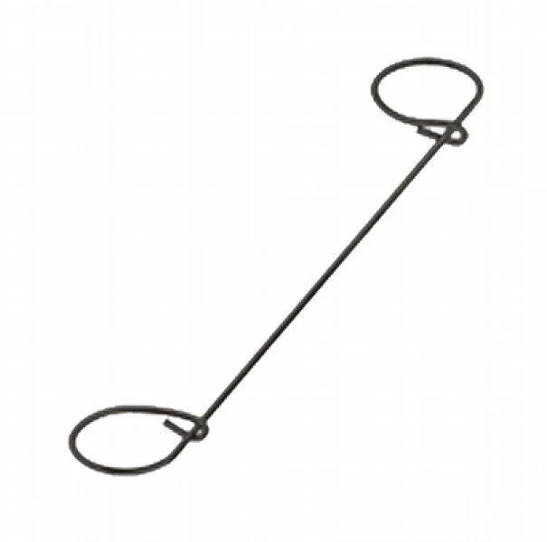 naradihornig-3176123