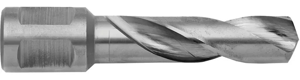 naradihornig-3179290
