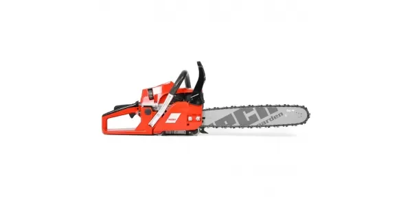 peddy-2908736