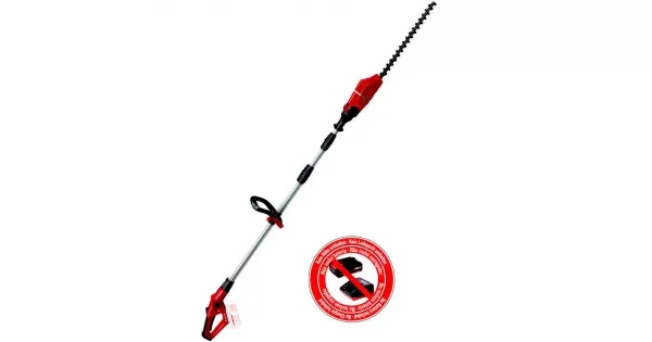 peddy-2913503