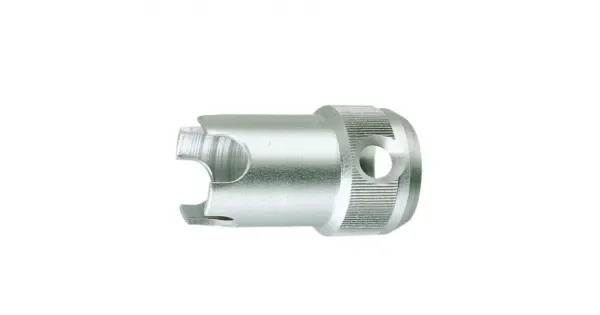 peddy-2956456