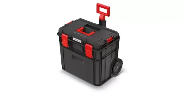 peddy-2982100