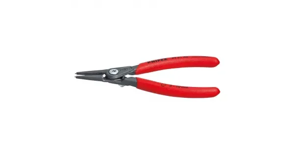 peddy-2985579