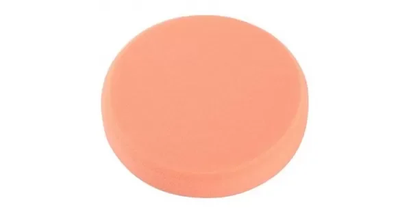 peddy-2987656