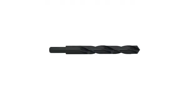 peddy-2988045