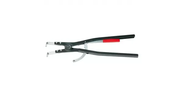 peddy-2998519