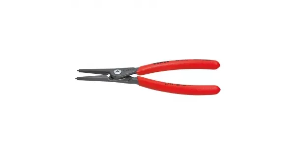 peddy-3000491