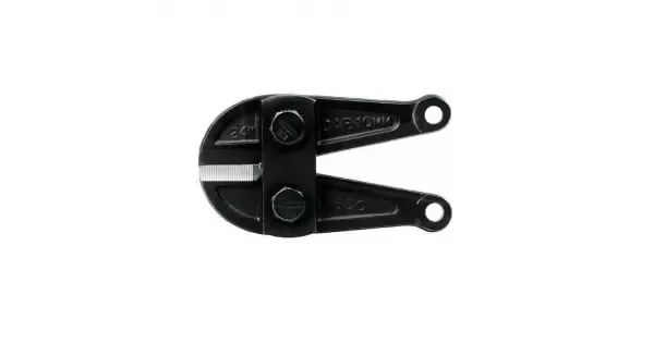 peddy-3009243