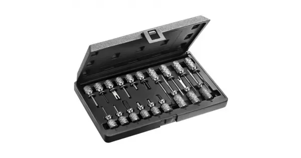 peddy-3022748