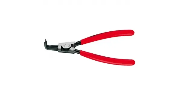 peddy-3030174