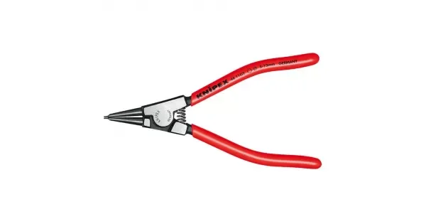 peddy-3032415