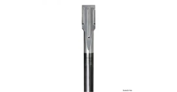 peddy-3036941