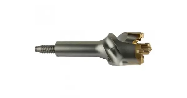 peddy-3040681