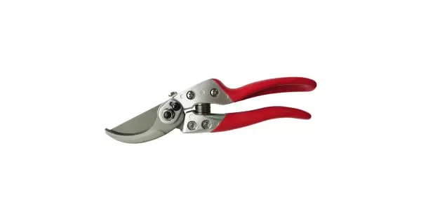 peddy-3052465