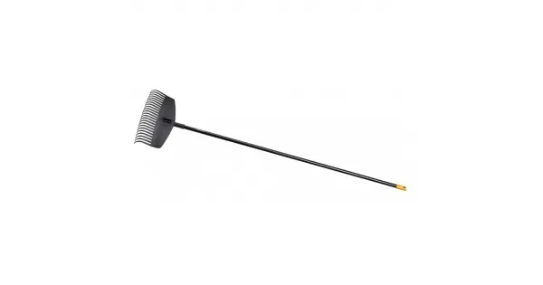 peddy-3053006
